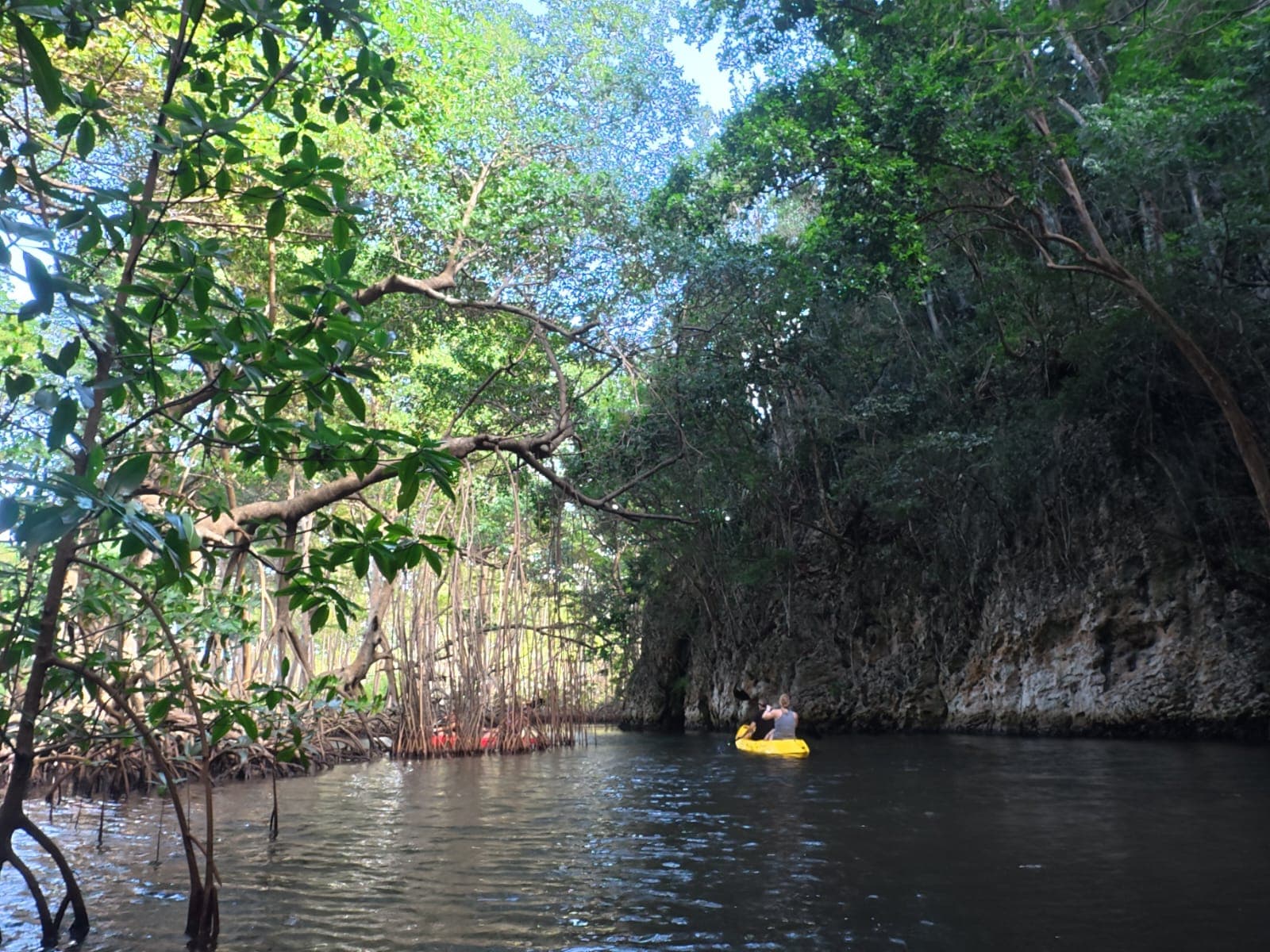 Los Haitises Sunset Kayak & Caves Tour from Samana (with Snacks & Wine)